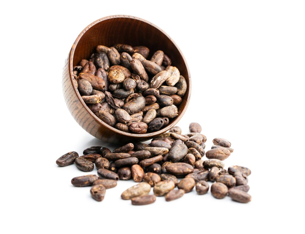 Roasted cocoa beans in bowl